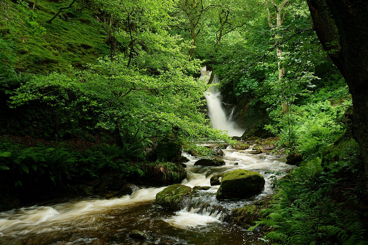 Dolgoch Falls
